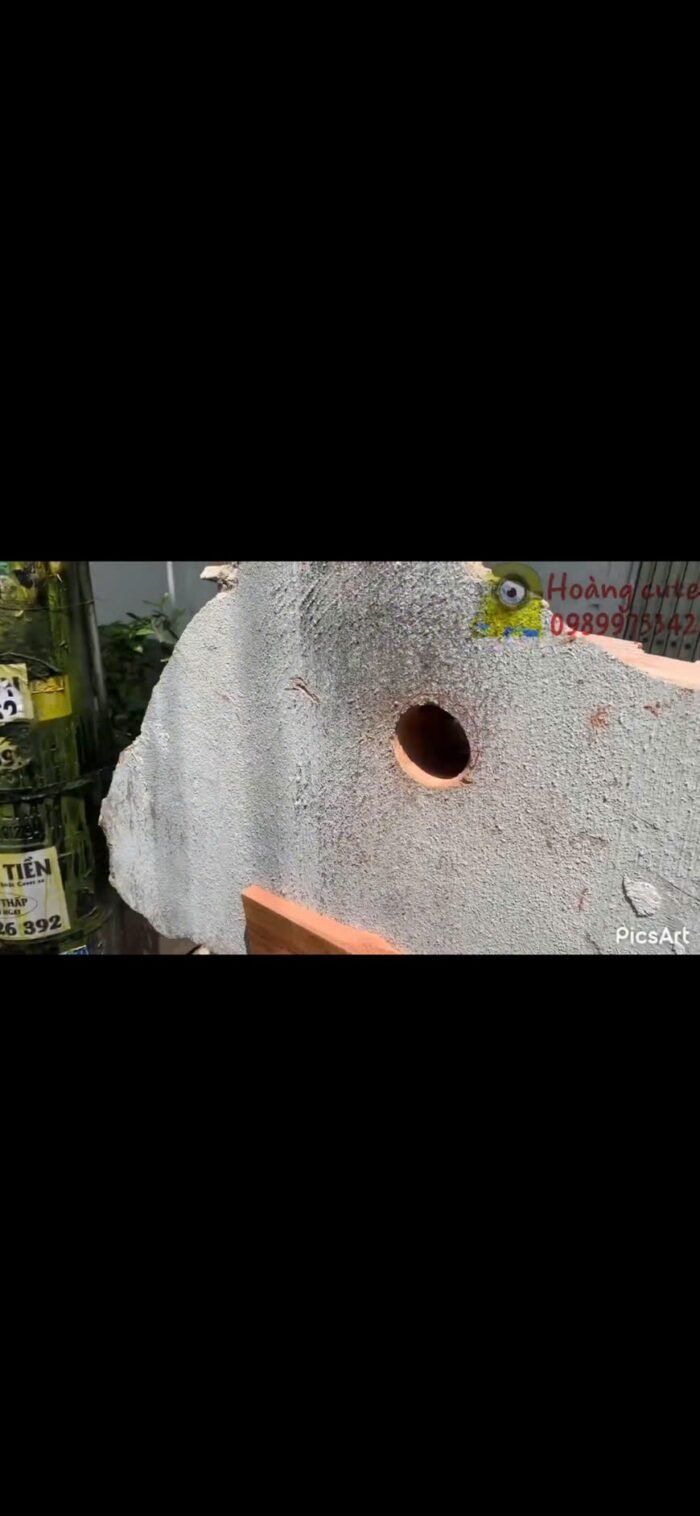 Cho thuê khoan pin rút lõi tại Hà Nội - Ảnh 4